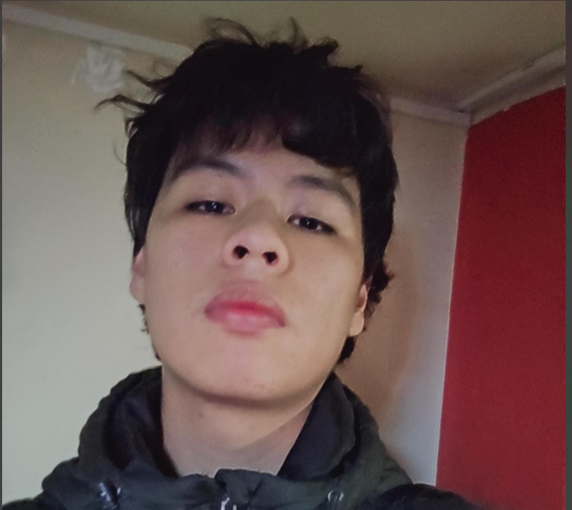 Leandro - Ingeniero de Sistemas